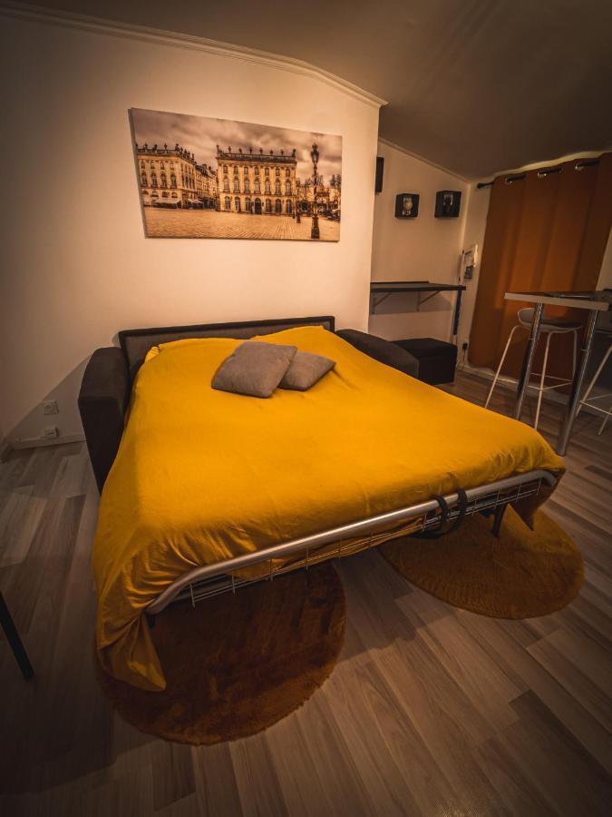 Le P'Tit Jeanne D'Arc Logements Insolites ナンシー エクステリア 写真