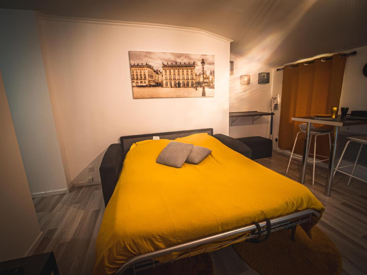Le P'Tit Jeanne D'Arc Logements Insolites ナンシー エクステリア 写真